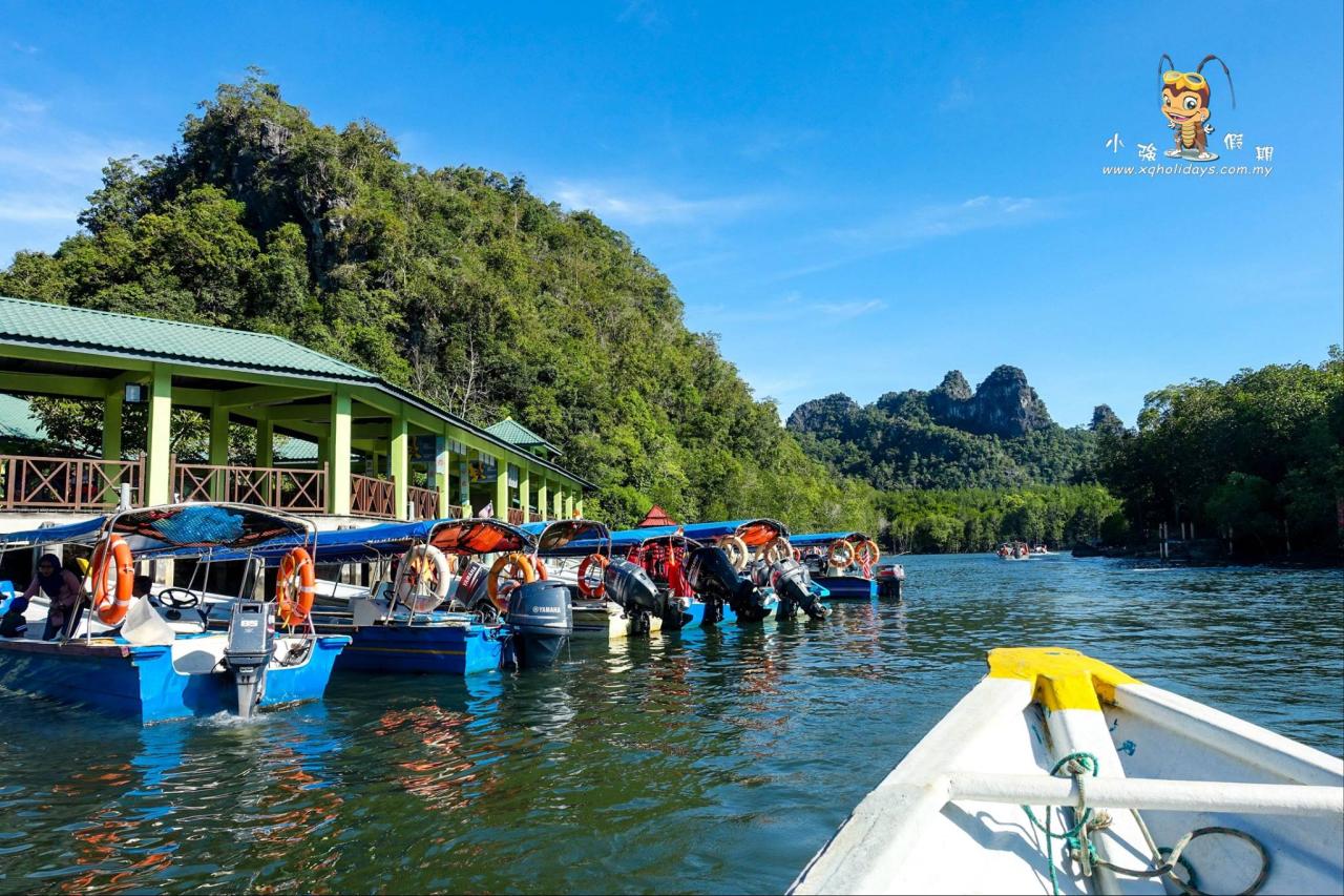 Jelajahi Hutan Bakau Langkawi yang Memesona dengan Tur Mangrove